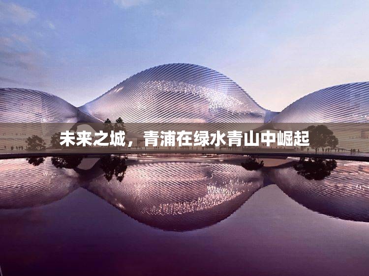 青浦，綠水青山中的未來之城崛起