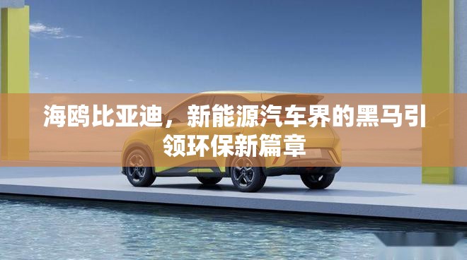 海鷗比亞迪，新能源汽車(chē)界的環(huán)保先鋒