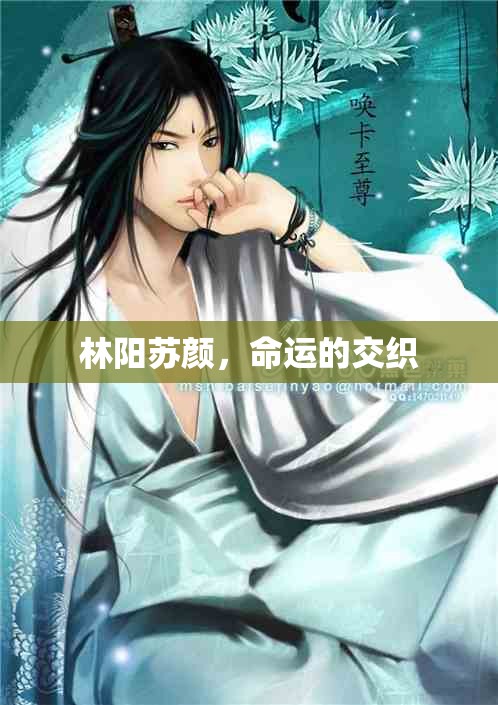 林陽蘇顏，命運的交織