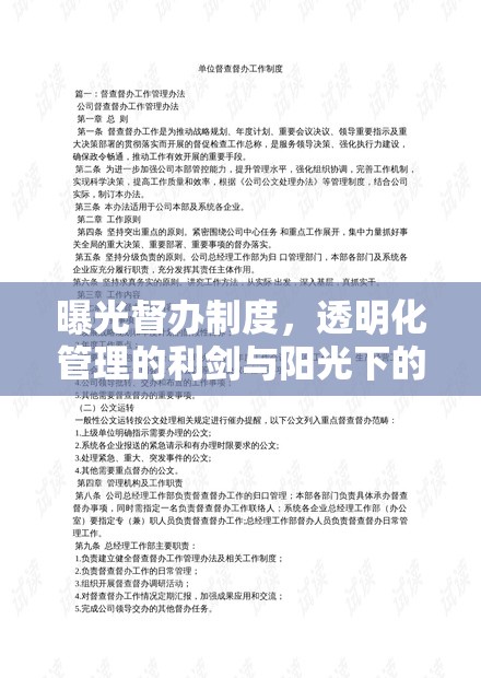 透明化管理的利器，曝光督辦制度的陽(yáng)光監(jiān)督