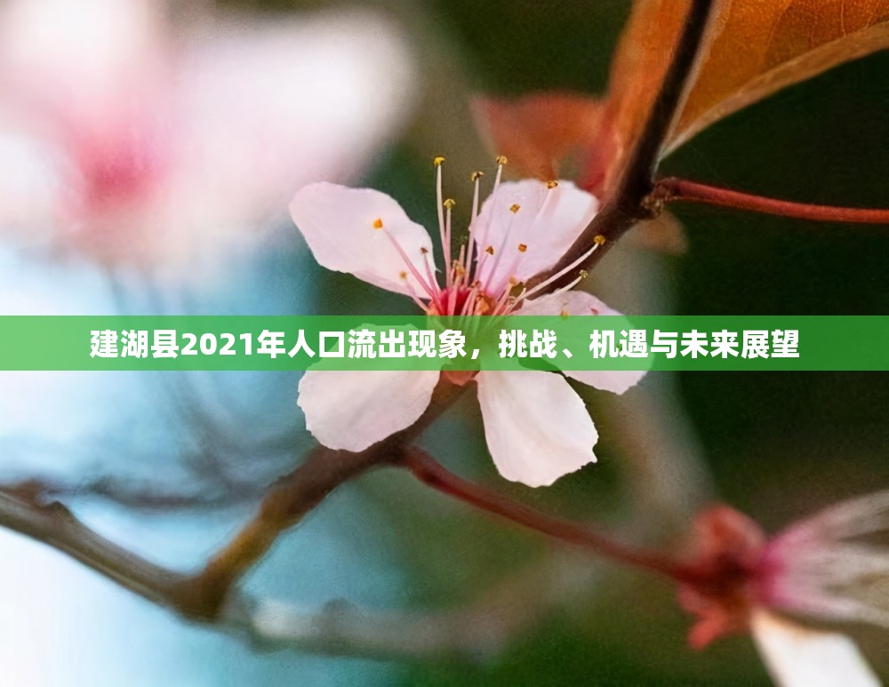 建湖縣2021年人口流動，挑戰(zhàn)、機遇與未來展望
