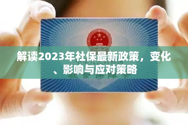 2023年社保政策深度解析，變化、影響及應(yīng)對之道