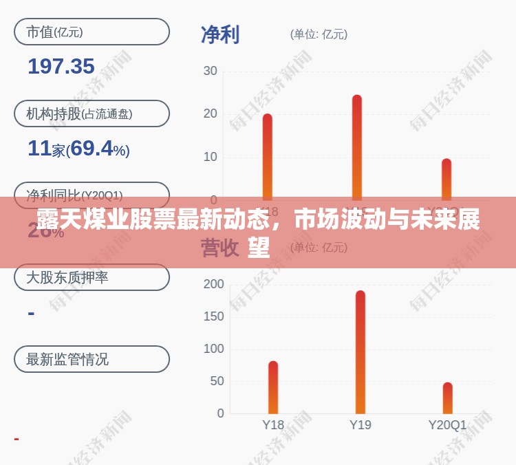 露天煤業(yè)股票市場(chǎng)分析，動(dòng)態(tài)、波動(dòng)與未來(lái)趨勢(shì)