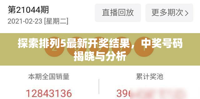排列5開(kāi)獎(jiǎng)結(jié)果深度解析，最新中獎(jiǎng)號(hào)碼揭曉與走勢(shì)分析