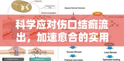 加速傷口愈合，結(jié)痂流出的科學(xué)應(yīng)對策略