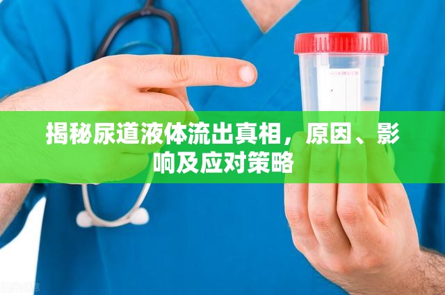 尿道異常液體流出，全面解析原因、影響與治療指南