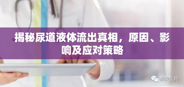 尿道異常液體流出，全面解析原因、影響與治療指南