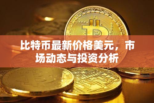 比特幣實時價格走勢，美元市場動態(tài)與投資策略深度解析