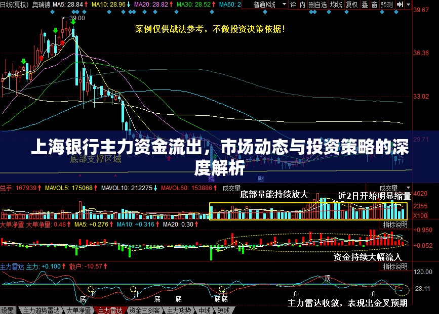 上海銀行資金外流，市場趨勢與投資策略深度分析