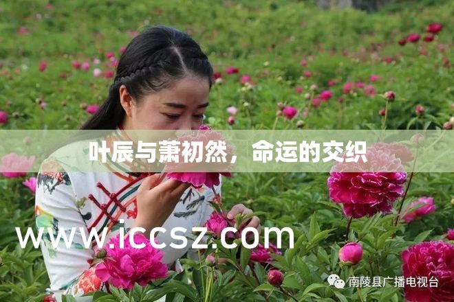 宿命之緣，葉辰與蕭初然的糾葛