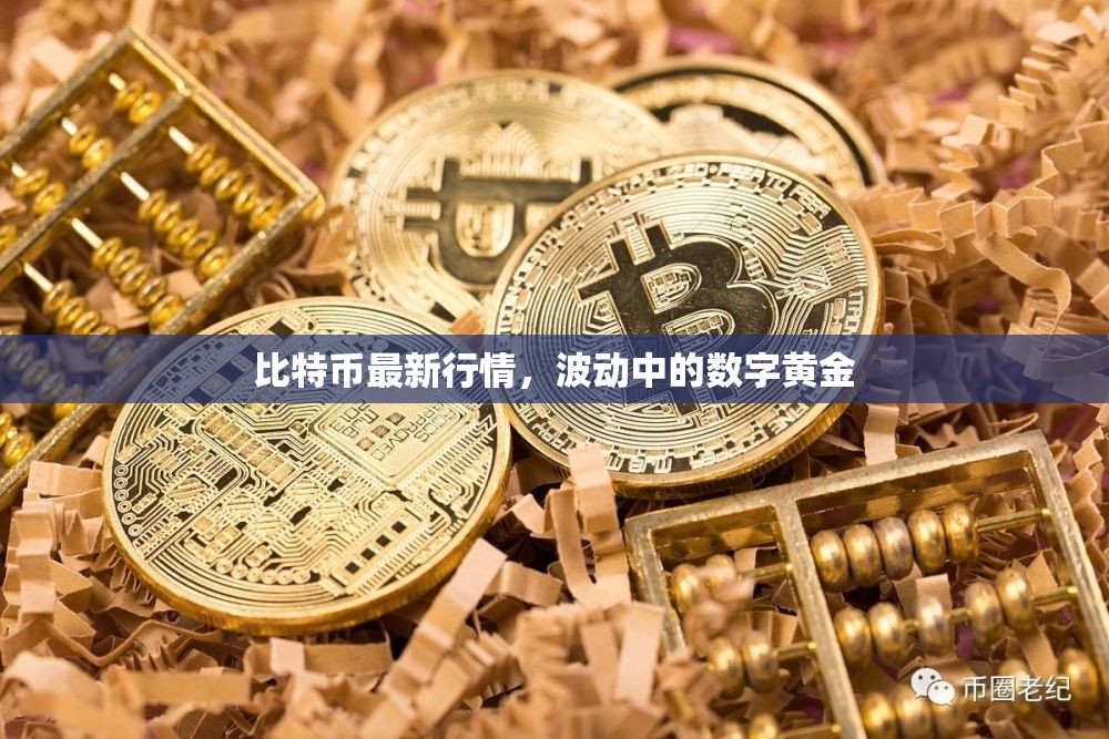 數(shù)字黃金的波動之旅，比特幣最新行情解析