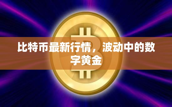 數(shù)字黃金的波動之旅，比特幣最新行情解析