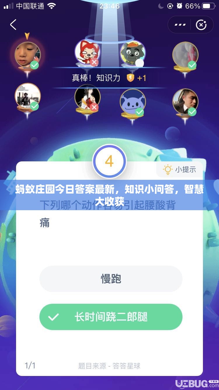 螞蟻莊園今日答案最新，知識(shí)小問(wèn)答，智慧大收獲