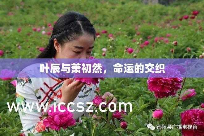 命運的編織，葉辰與蕭初然的交織
