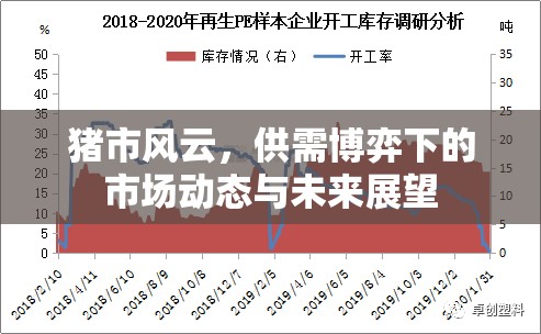 豬市供需博弈，市場(chǎng)動(dòng)態(tài)分析與未來(lái)趨勢(shì)預(yù)測(cè)