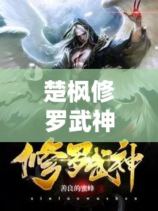 修羅武神，楚楓決戰(zhàn)武道之巔