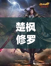 修羅武神，楚楓決戰(zhàn)武道之巔