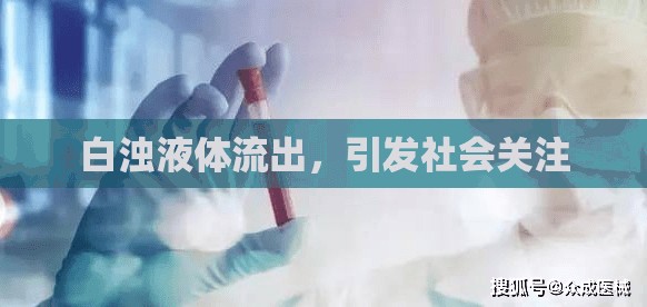 白濁液體事件，社會關注與應對