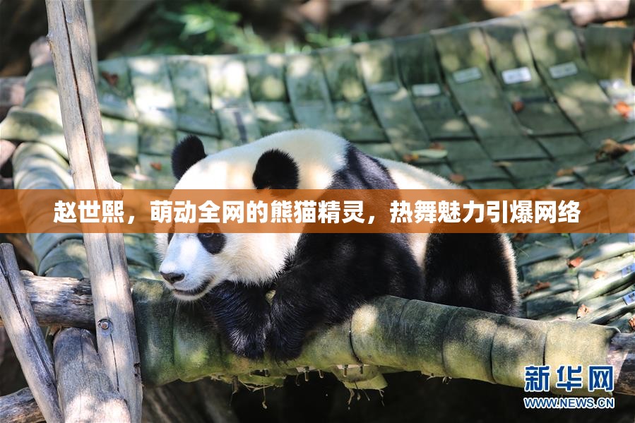 熊貓精靈趙世熙，熱舞魅力引爆網(wǎng)絡