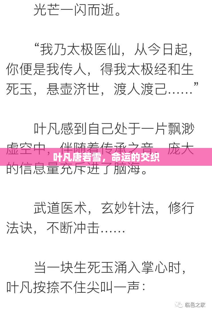 葉凡與唐若雪，命運的編織