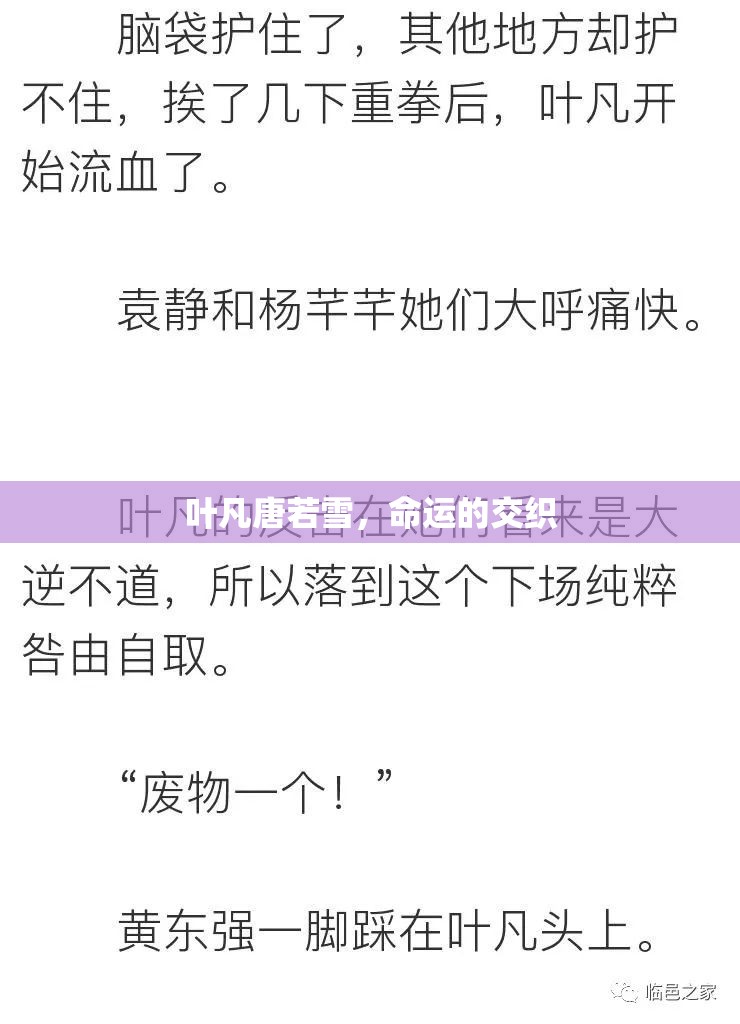 葉凡與唐若雪，命運的編織