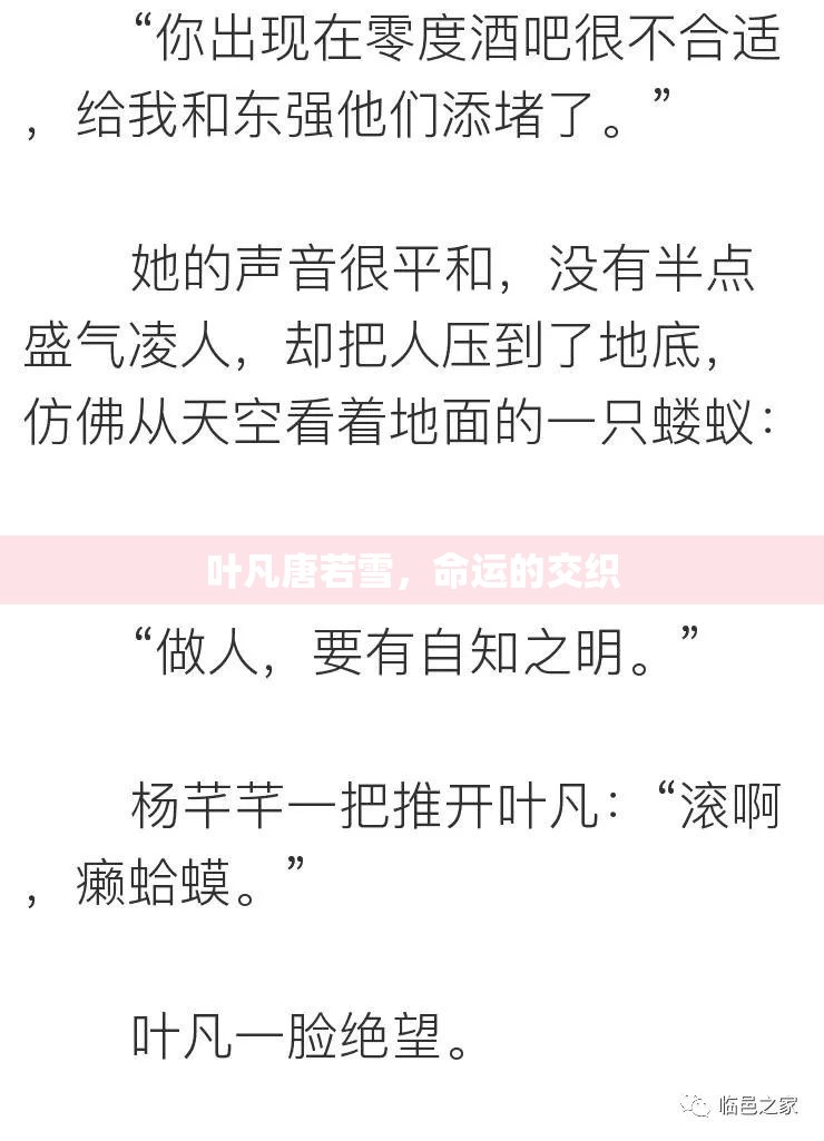 葉凡與唐若雪，命運的編織