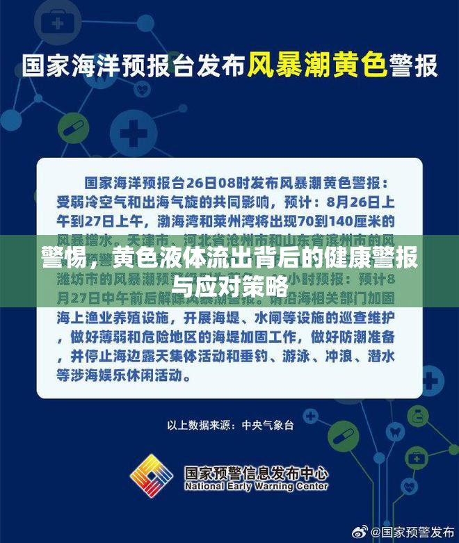 黃色液體流出，識(shí)別健康危機(jī)與緊急應(yīng)對(duì)指南