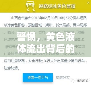 黃色液體流出，識(shí)別健康危機(jī)與緊急應(yīng)對(duì)指南