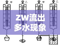 科學(xué)解讀ZW多水現(xiàn)象，健康與日常生活的平衡之道