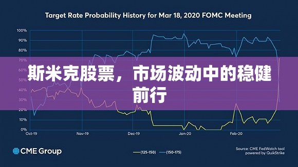 斯米克股票，市場波動中的穩(wěn)健前行
