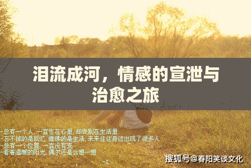淚流成河，情感的宣泄與治愈之旅