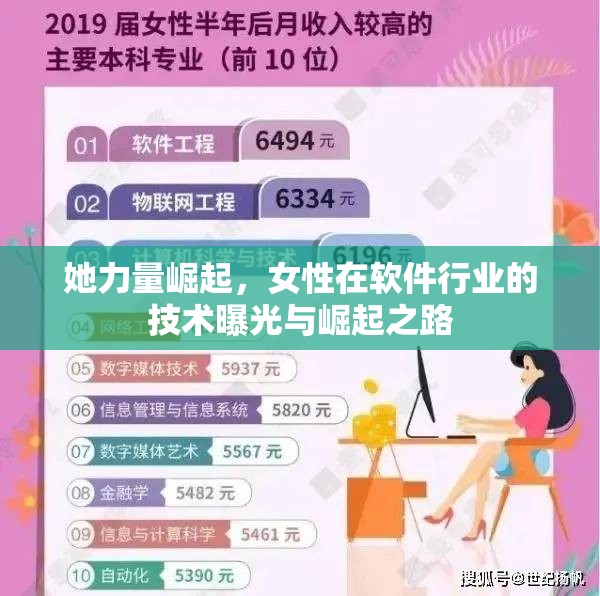 她力量崛起，女性在軟件行業(yè)的技術(shù)曝光與崛起之路