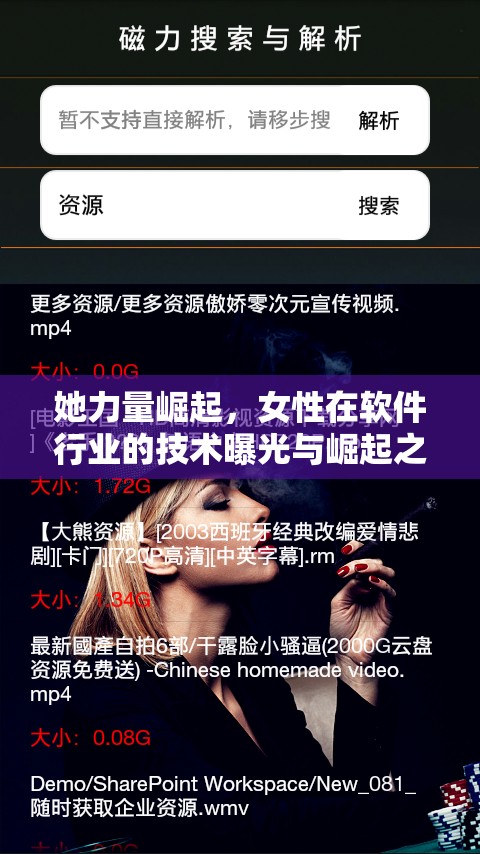 她力量崛起，女性在軟件行業(yè)的技術(shù)曝光與崛起之路