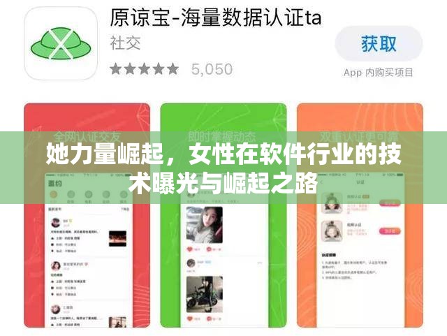 她力量崛起，女性在軟件行業(yè)的技術(shù)曝光與崛起之路
