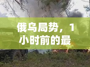俄烏沖突最新動態(tài)，1小時前局勢分析