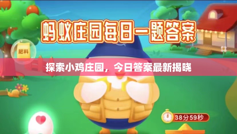 揭秘小雞莊園，今日答案揭曉