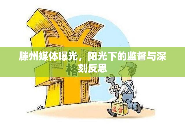 滕州媒體曝光，陽光下的監(jiān)督與深刻反思