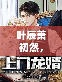 命運(yùn)之網(wǎng)，葉辰與蕭初然的情感之旅