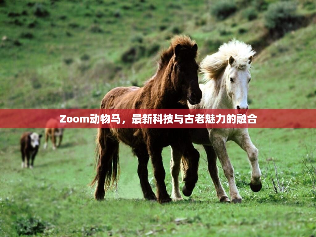 Zoom動物馬，最新科技與古老魅力的融合