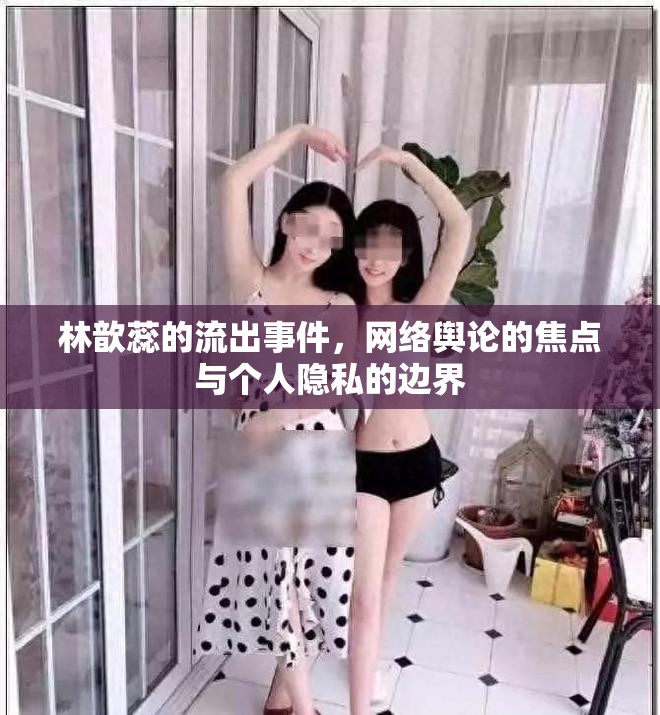 林歆蕊事件，網(wǎng)絡輿論與個人隱私的較量