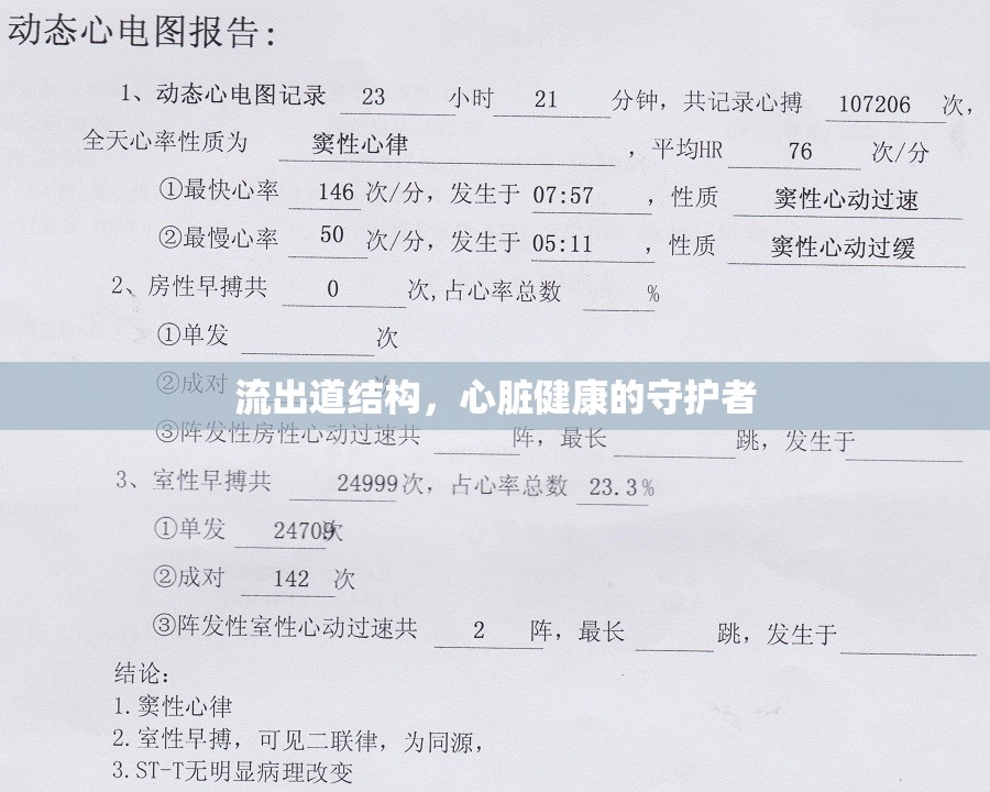 流出道結(jié)構(gòu)，心臟健康的守護者