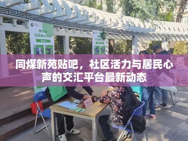同煤新苑貼吧，社區(qū)活力與居民心聲的互動(dòng)舞臺(tái)
