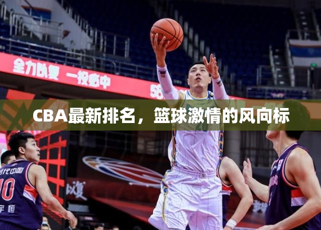 CBA最新排名，籃球激情的風(fēng)向標(biāo)