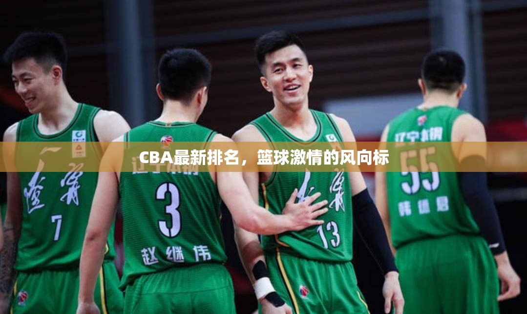CBA最新排名，籃球激情的風(fēng)向標(biāo)