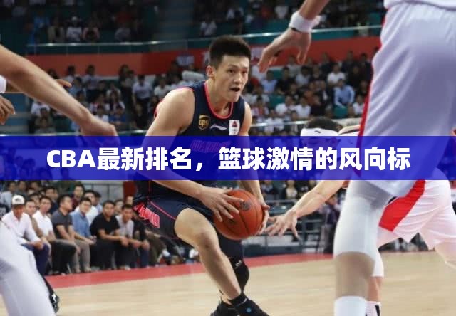 CBA最新排名，籃球激情的風(fēng)向標(biāo)