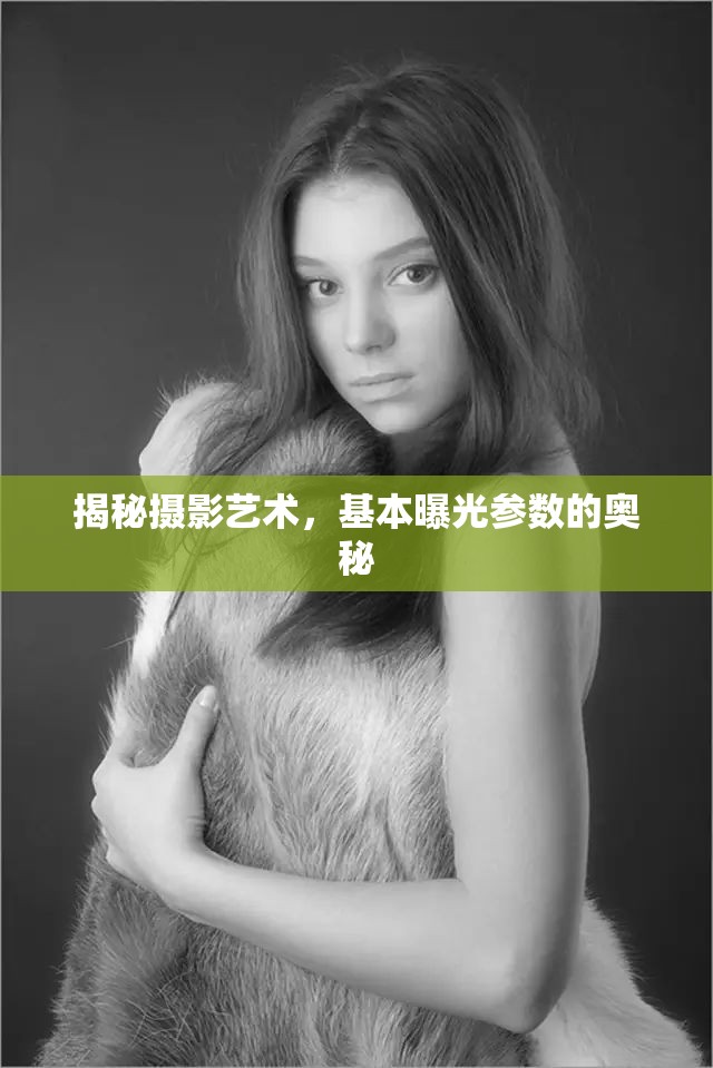 攝影藝術(shù)解密，解鎖基本曝光參數(shù)的神秘面紗
