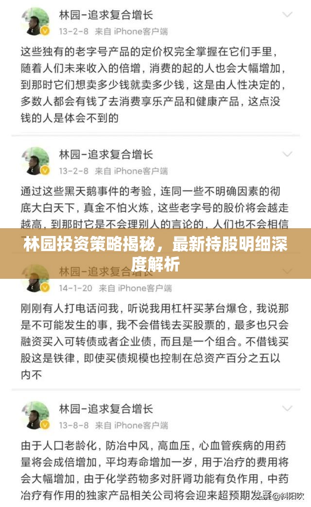 林園投資策略深度解析，最新持股明細(xì)揭秘