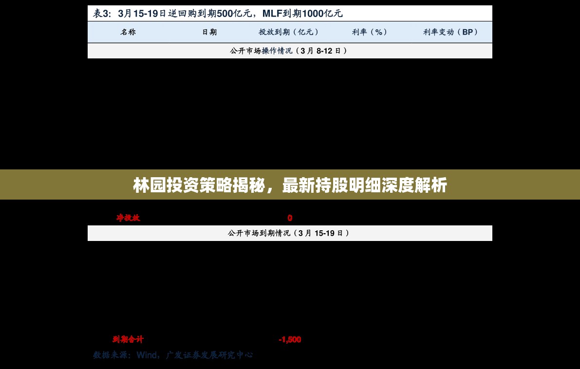 林園投資策略深度解析，最新持股明細(xì)揭秘