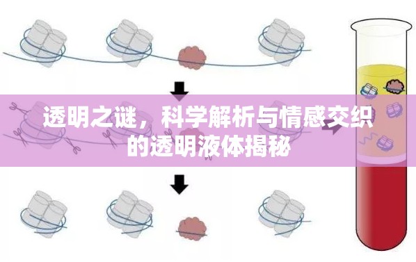 揭開透明液體的神秘面紗，科學(xué)探索與情感共鳴