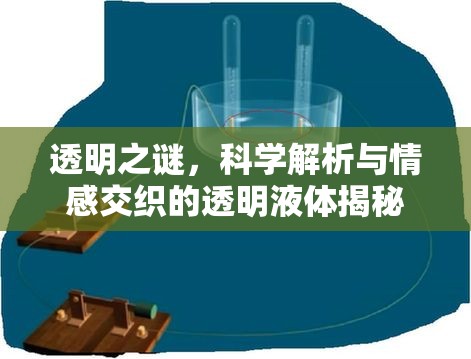 揭開透明液體的神秘面紗，科學(xué)探索與情感共鳴